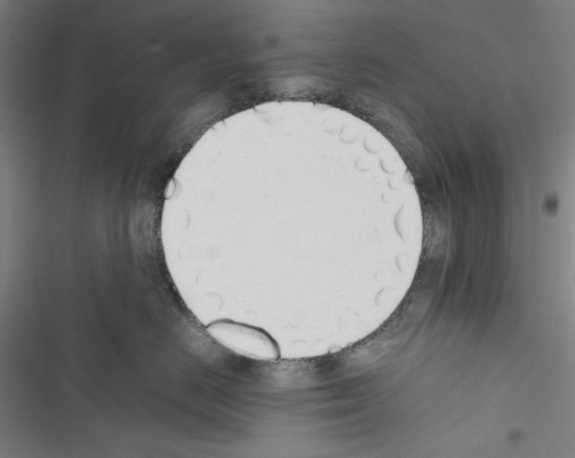 X0000116460670201001201301