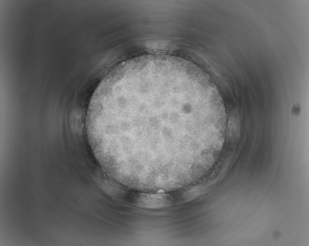 X0000116460671201001201301