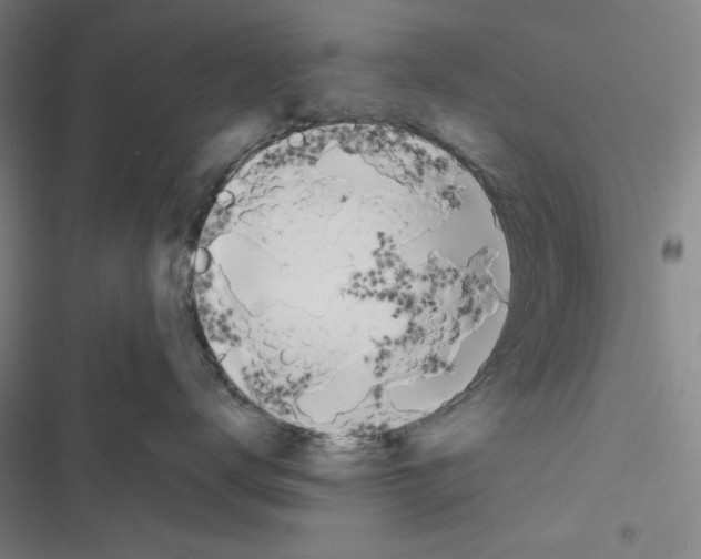 X0000116460672201001201301