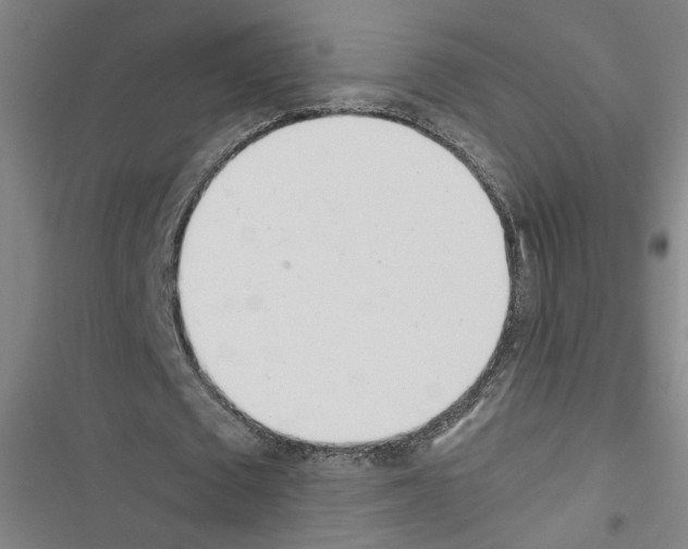 X0000116460673201001201301