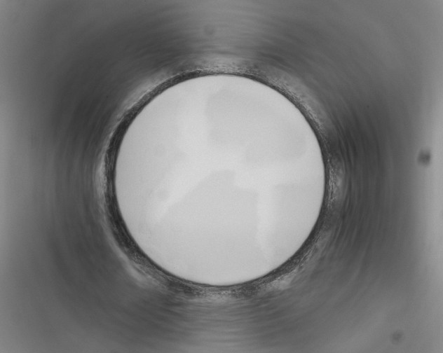 X0000116460674201001201301
