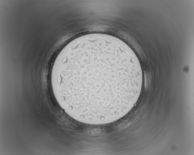 X0000116460675201001201301