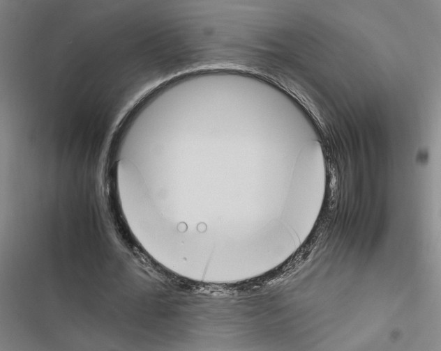 X0000116460676201001201301
