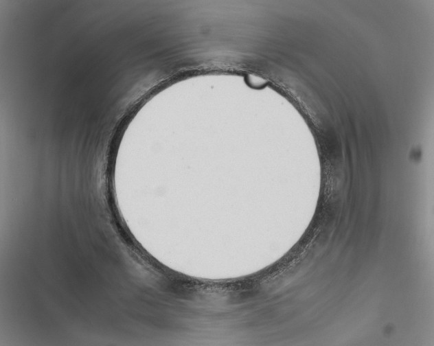 X0000116460677201001201301
