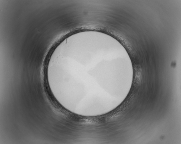 X0000116460678201001201301