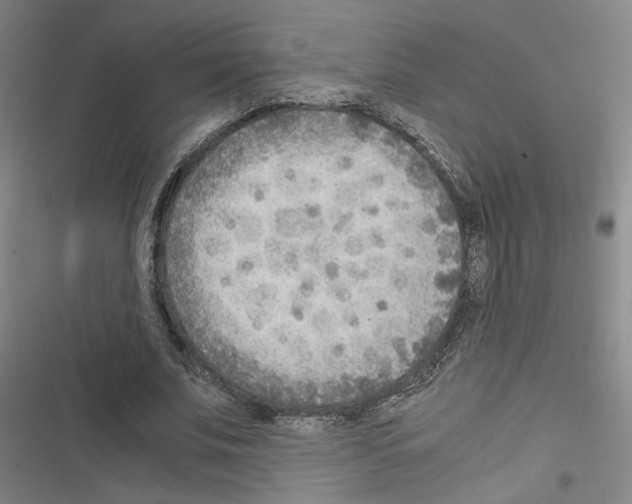 X0000116460679201001201301