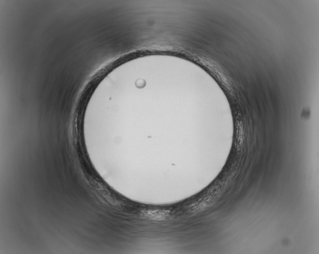 X0000116460680201001201301