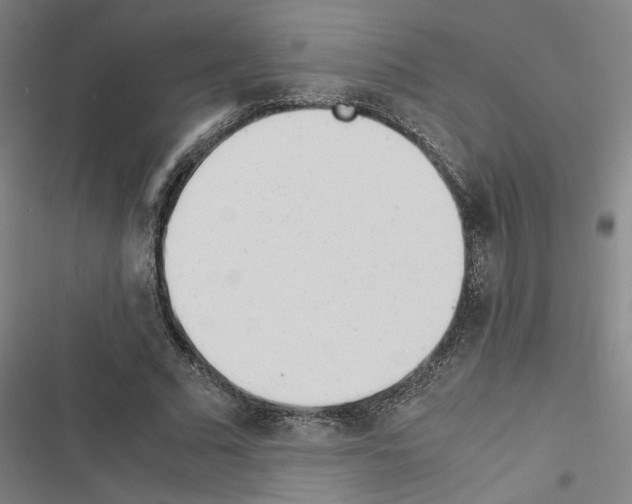 X0000116460681201001201301