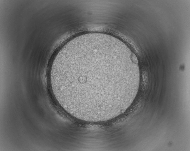X0000116460682201001201301