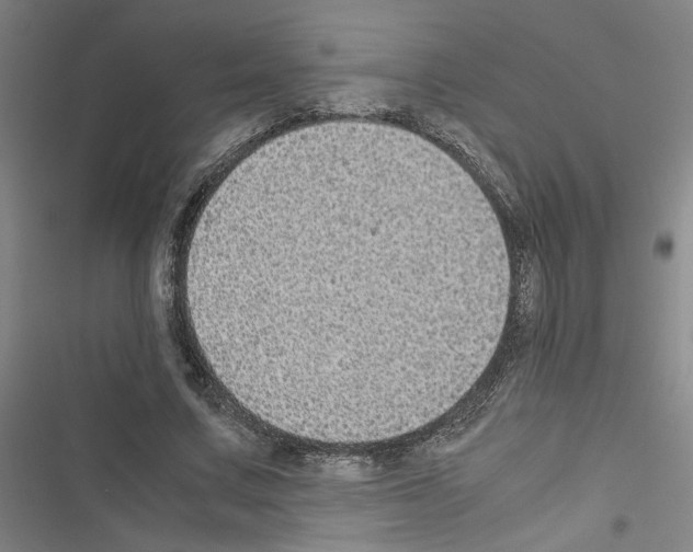 X0000116460683201001201301