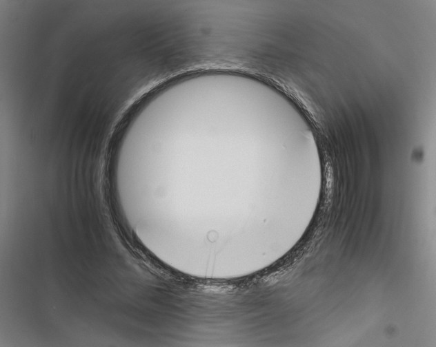 X0000116460684201001201300