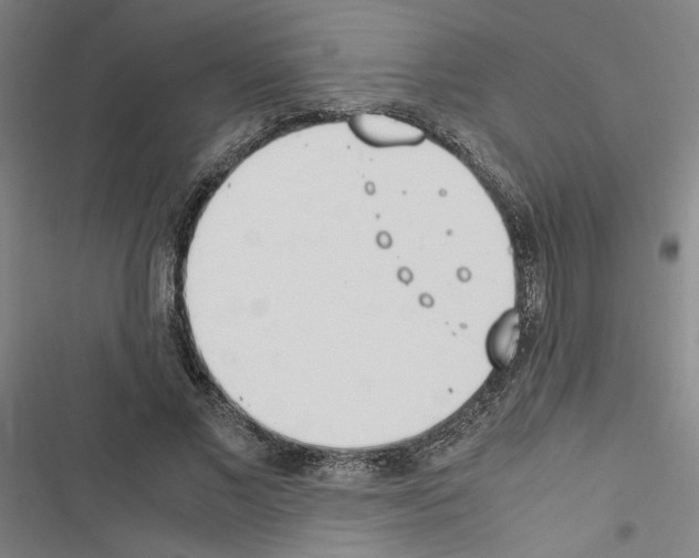 X0000116460685201001201300