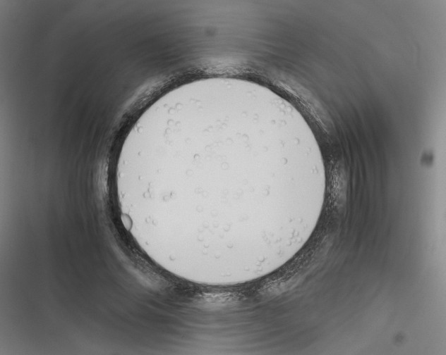 X0000116460686201001201300
