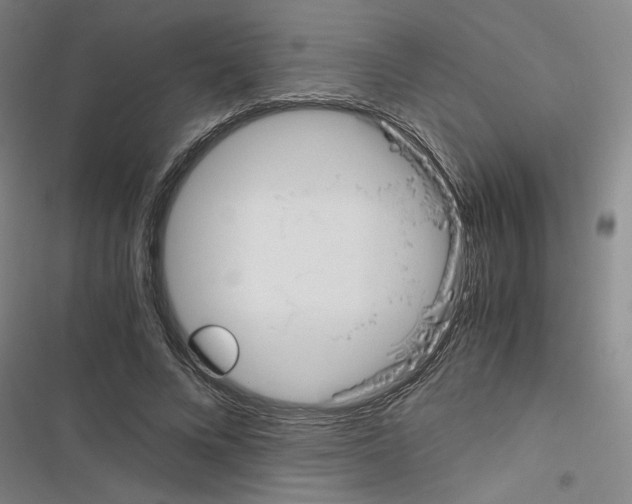X0000116460688201001201300