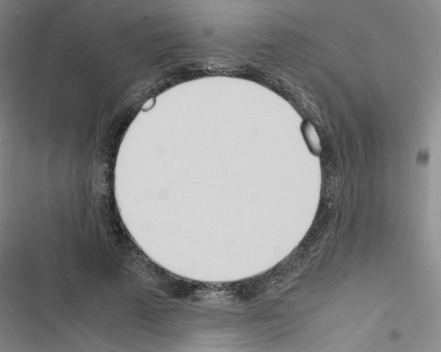X0000116460689201001201300