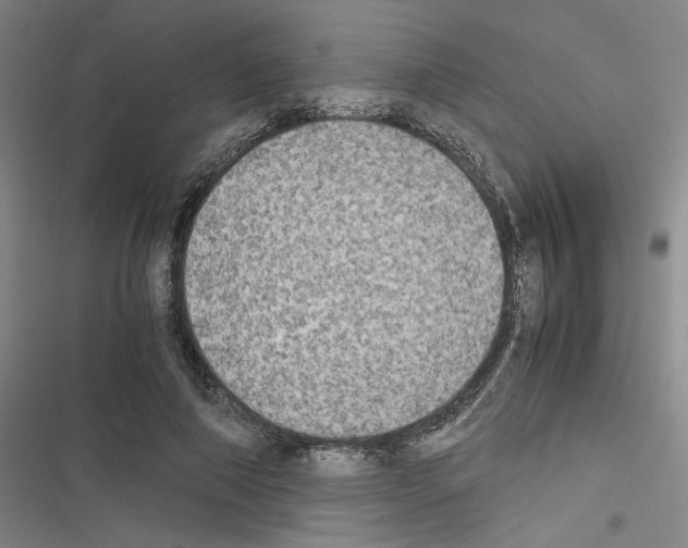 X0000116460690201001201300