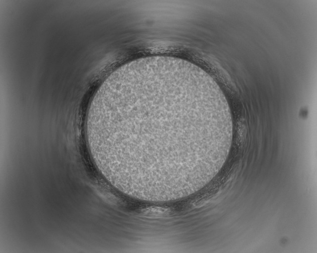 X0000116460691201001201300