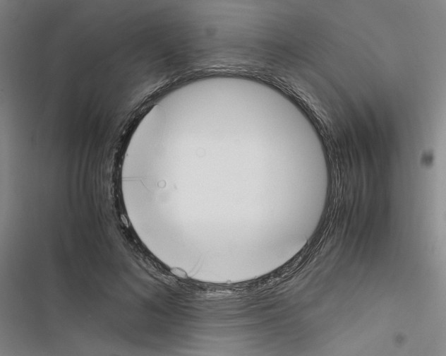 X0000116460692201001201300