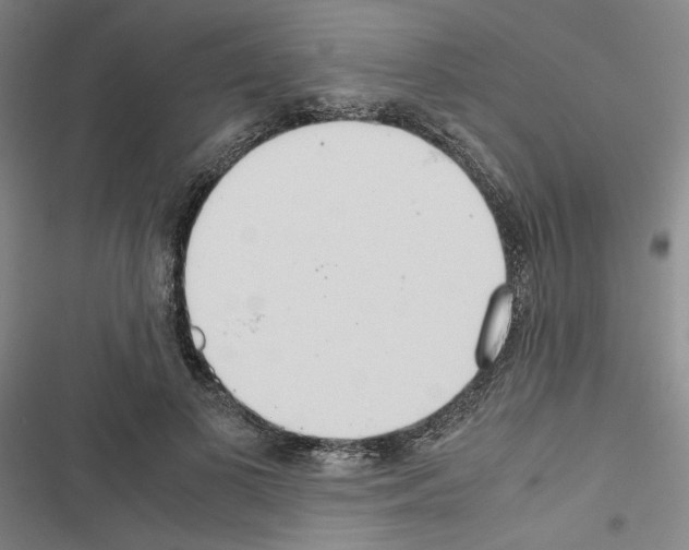 X0000116460693201001201300