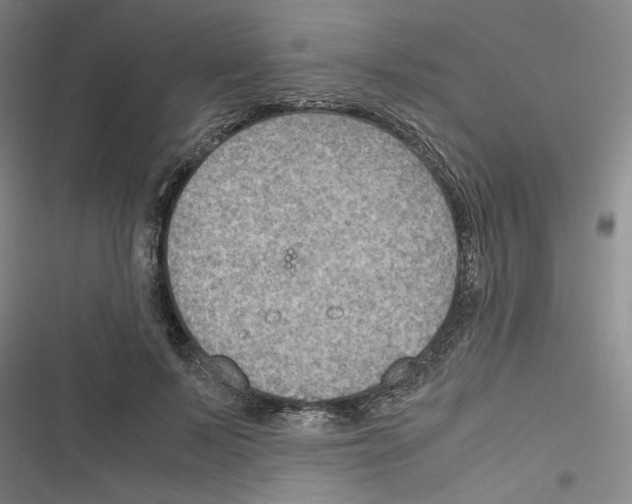 X0000116460695201001201300