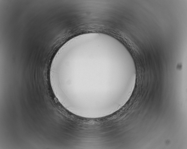 X0000116460696201001201300