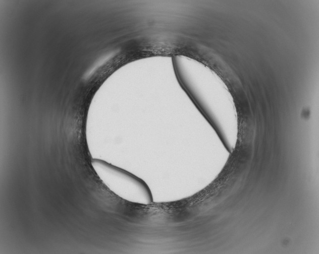 X0000116460697201001201300