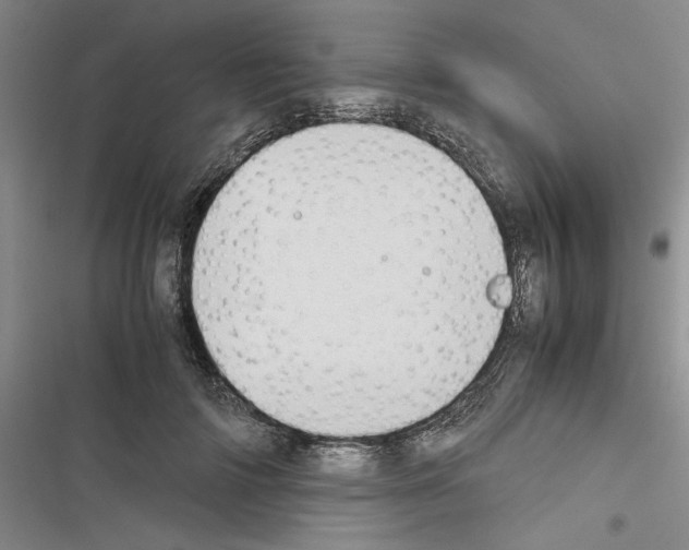 X0000116460698201001201300