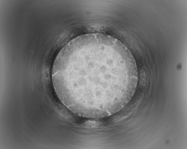 X0000116460699201001201300