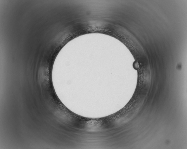 X0000116460700201001201300