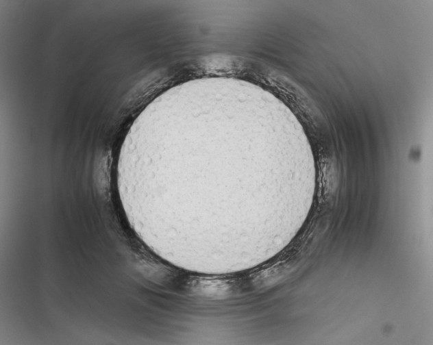 X0000116460702201001201300