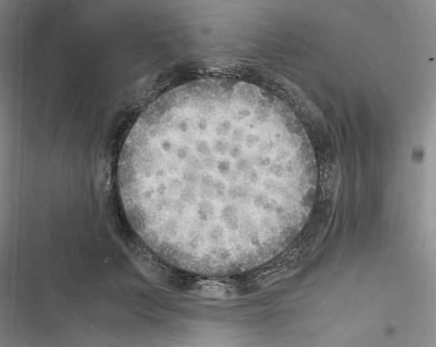 X0000116460703201001201300