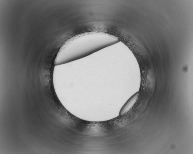 X0000116460704201001201300
