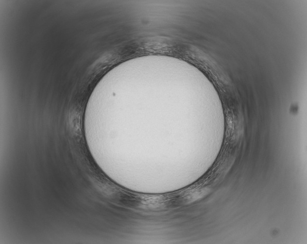 X0000116460705201001201300