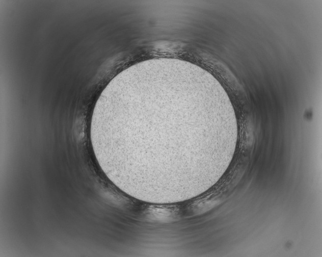 X0000116460706201001201300