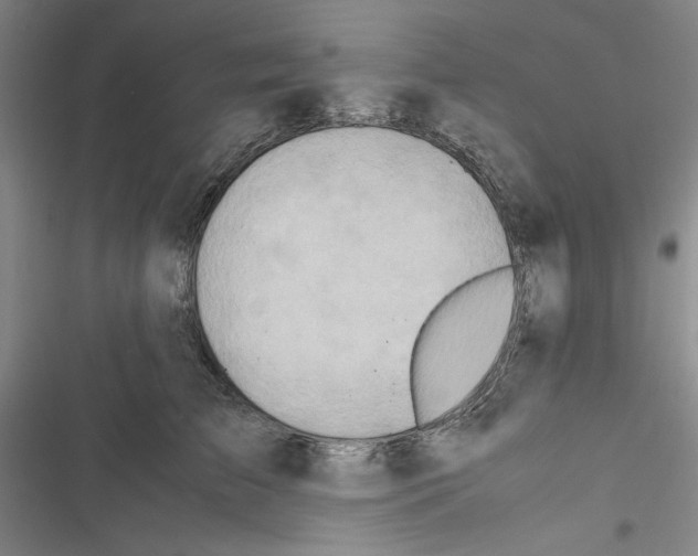 X0000116460709201001201300