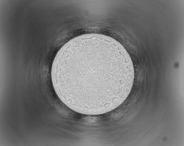 X0000116460711201001201300