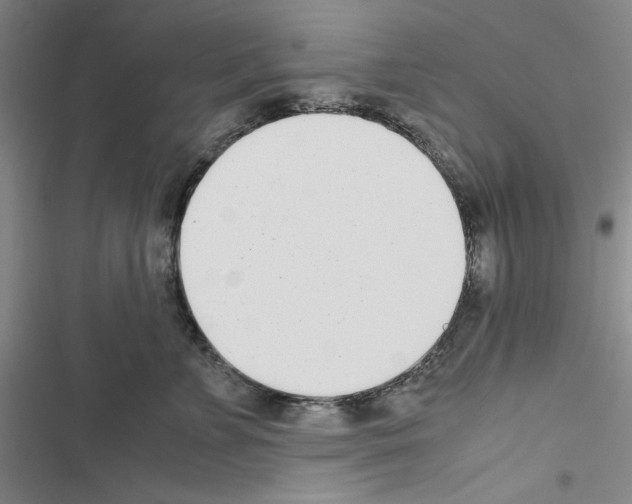 X0000116460715201001201300