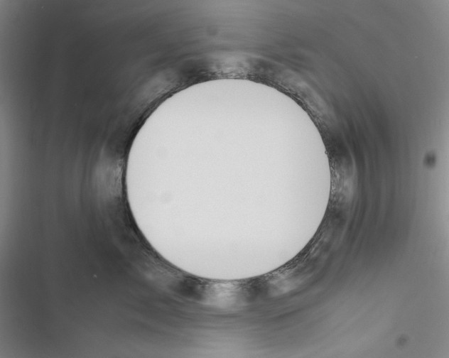 X0000116460717201001201300