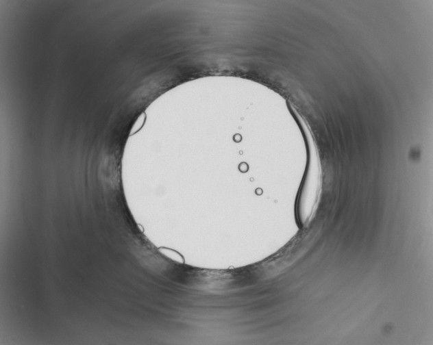 X0000116460719201001201300