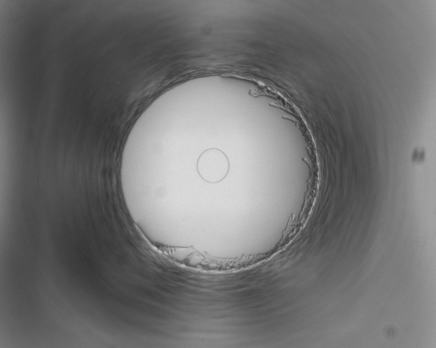 X0000116460720201001201300