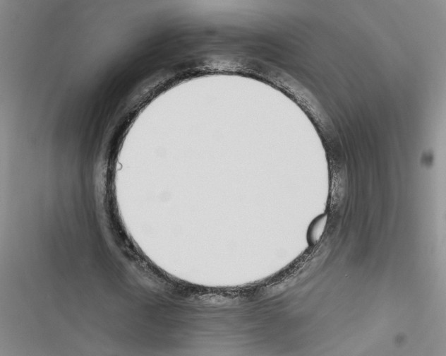 X0000116460722201001201259