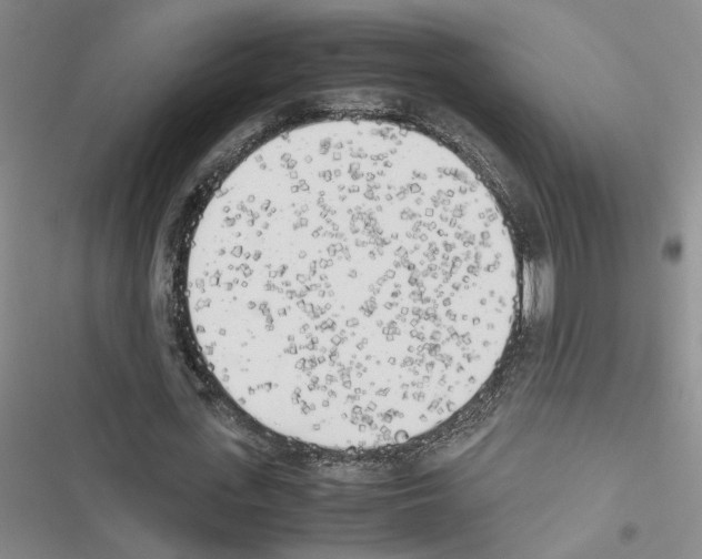 X0000116460723201001201259