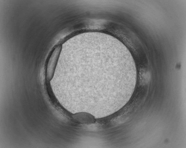X0000116460726201001201259