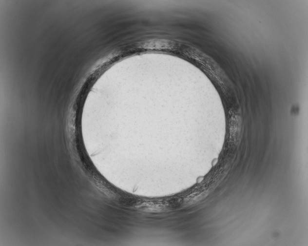 X0000116460727201001201259