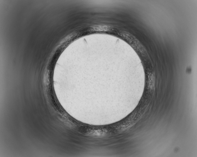 X0000116460731201001201259