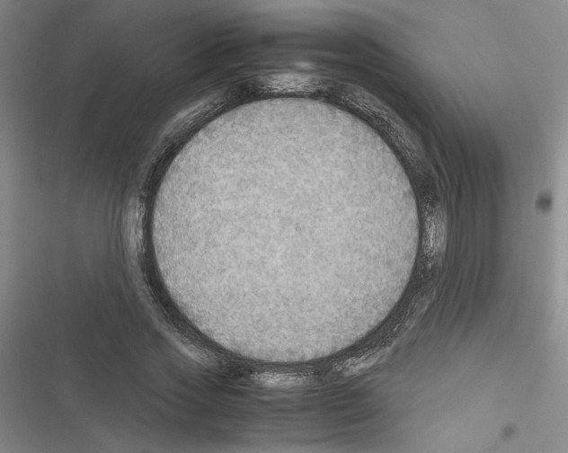X0000116460733201001201300