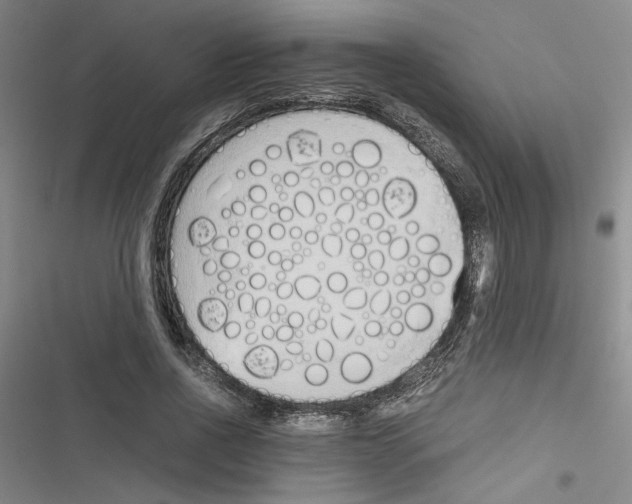 X0000116460734201001201300