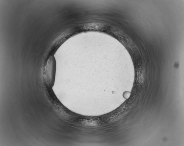 X0000116460735201001201300