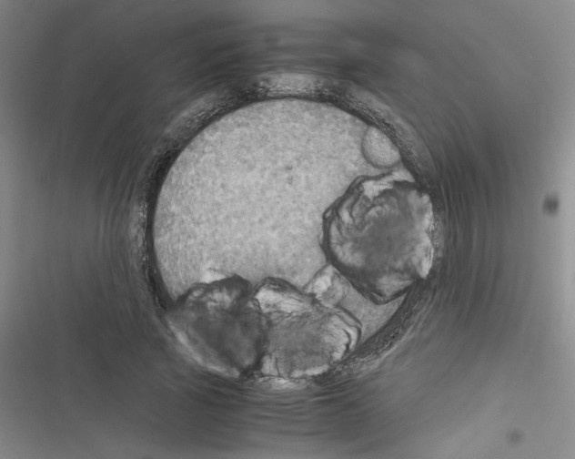 X0000116460737201001201300