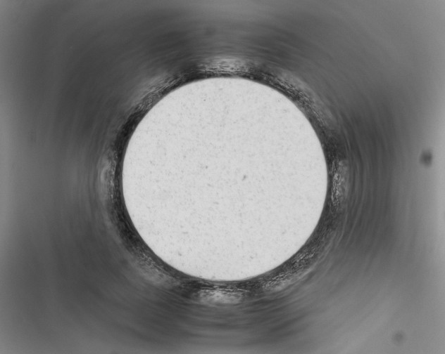 X0000116460739201001201300